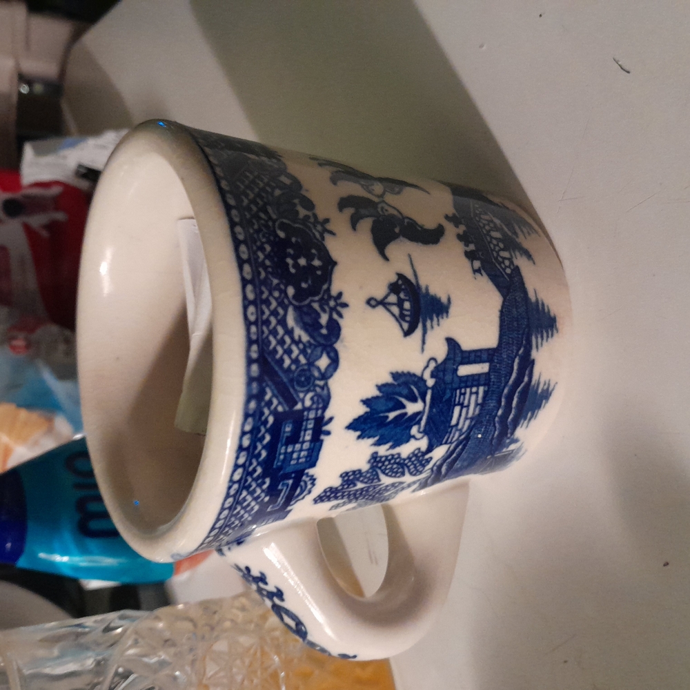Blue and White Ceramic Mug